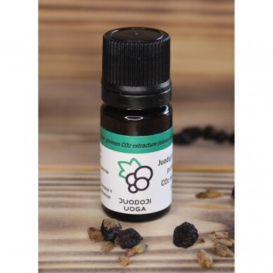 Blackcurrant buds CO2 extract 5 ml 1